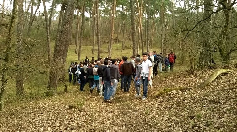 #wmf Lennebergwald